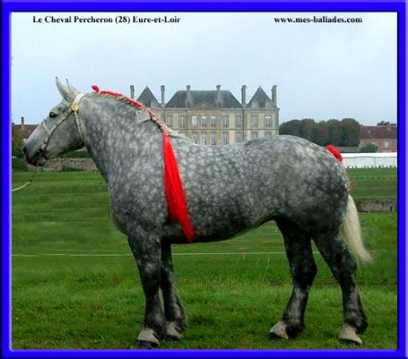 28 ღ꧁ღ╭⊱ꕥ 28  Eure et Loire    ꕥ⊱╮ღ꧂ღ