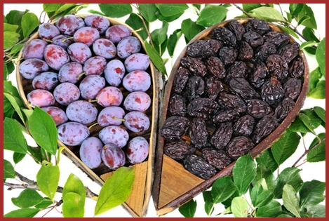 ღ꧁ღ╭⊱ꕥ   47 Lot et Garonne   ꕥ⊱╮ღ꧂ღ