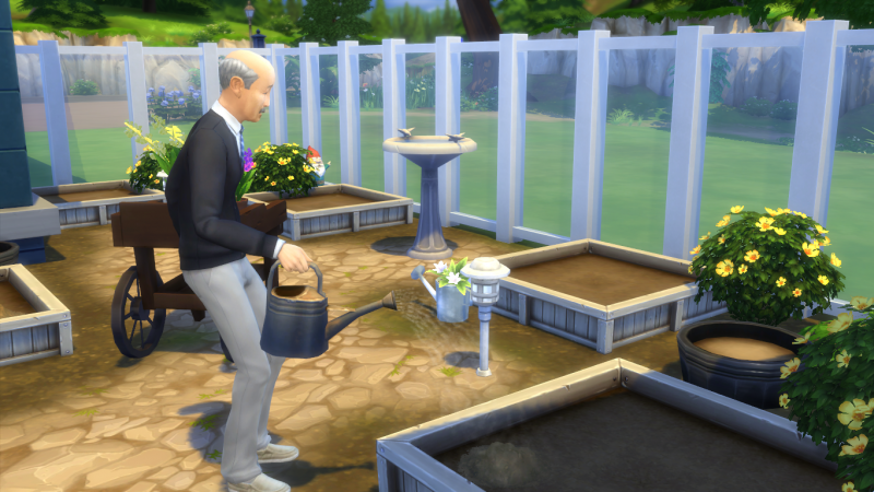 Semaine 1 - Quartier Willow Creek - Famille Spencer-Kim-Lewis