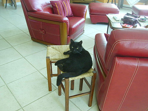 IMGP0044.JPG
