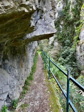 Peut être une image de nature et arbre
