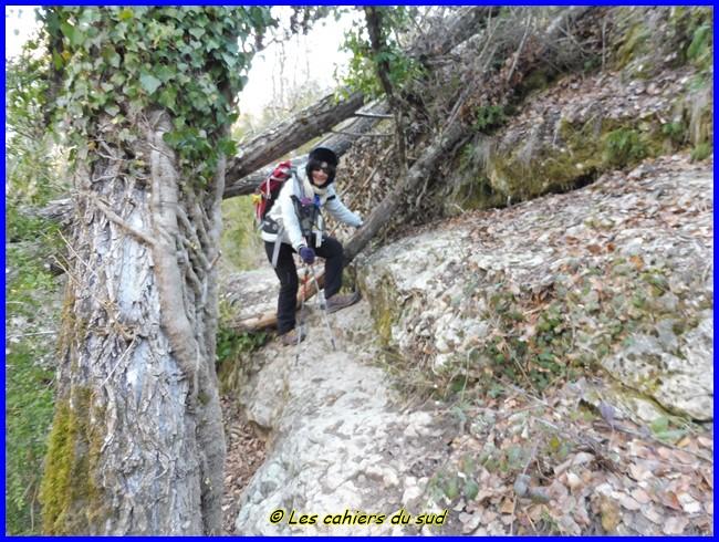 Les gorges du Colostre