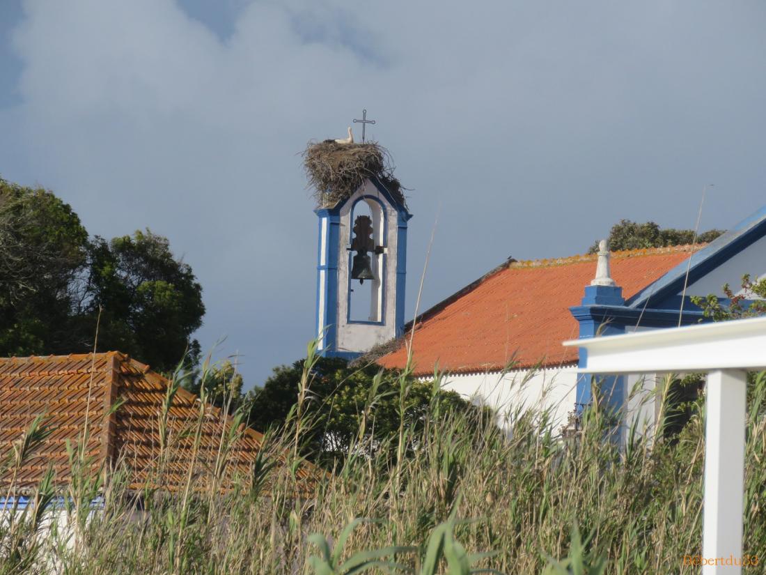 Comporta  et Troia 