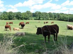 Lundi en une, deux , trois, quatre, ( et bien plus encore ) Photos !