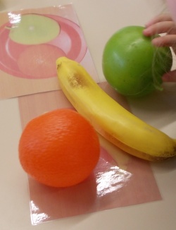 Salade de fruits - Petite Section