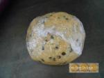 Les biscuits Cocottes au chocolat et graines