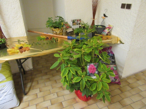 Remise des prix aux personnes qui ont fleuri leurs maisons, leurs balcons, leurs commerces durant l'été 2017, à Châtillon sur Seine