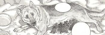 scan 410