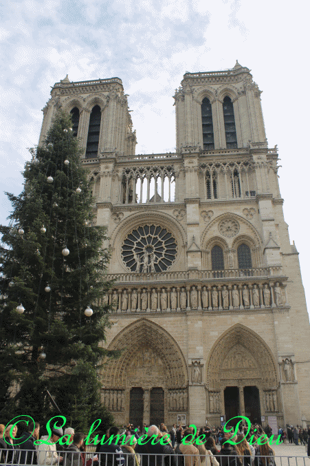 La cathédrale Notre-Dame de Paris