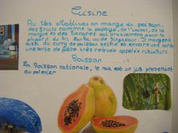 Exposé sur les Iles Maldives
