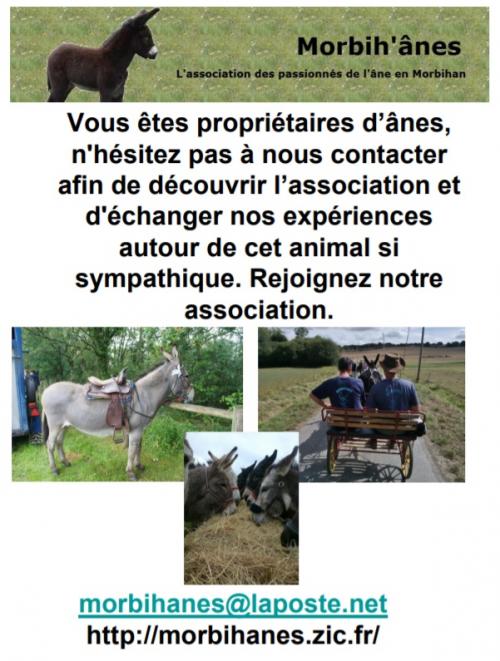 - Sorties et randonnées "Morbih'ânes" 2019