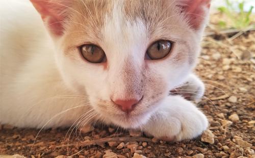 Voilà, c'est fini !