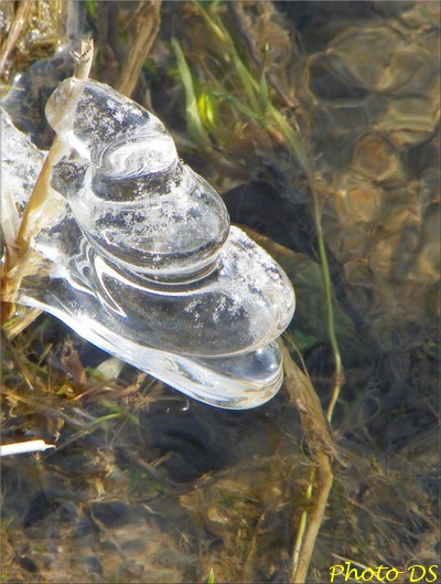 Des photos d'hiver , par D.S...