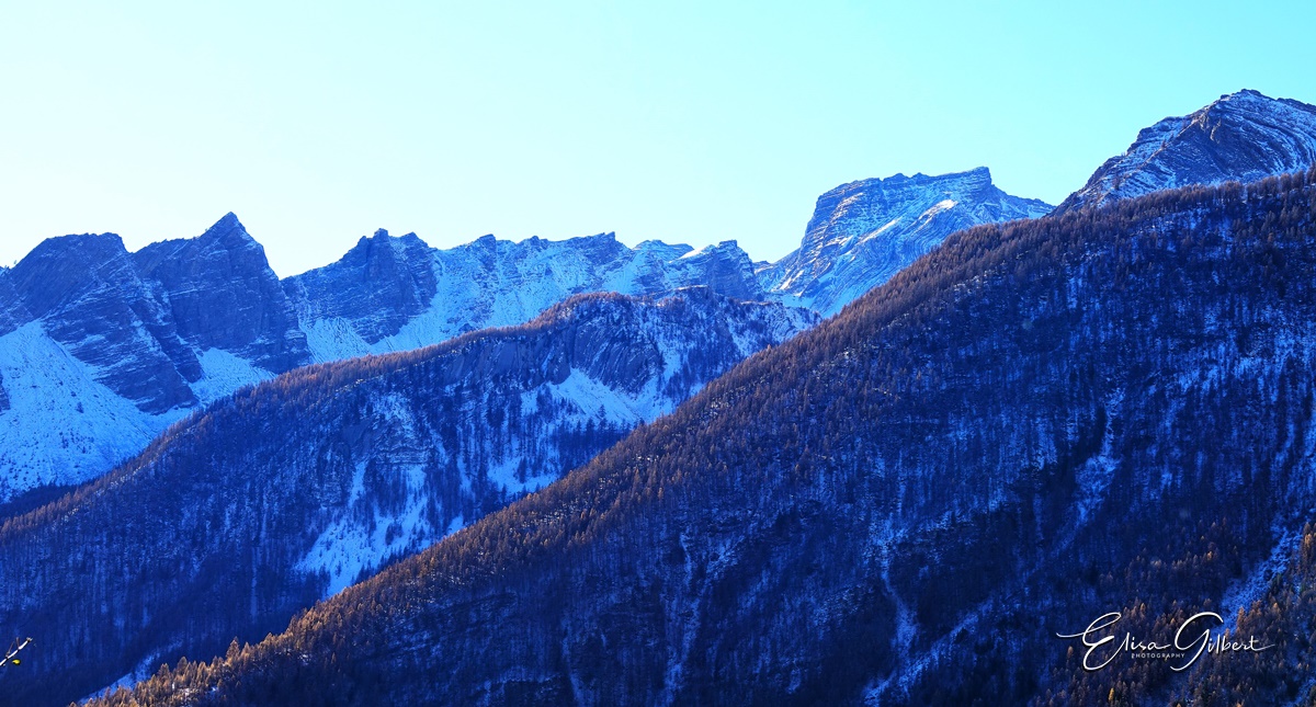 N°1
