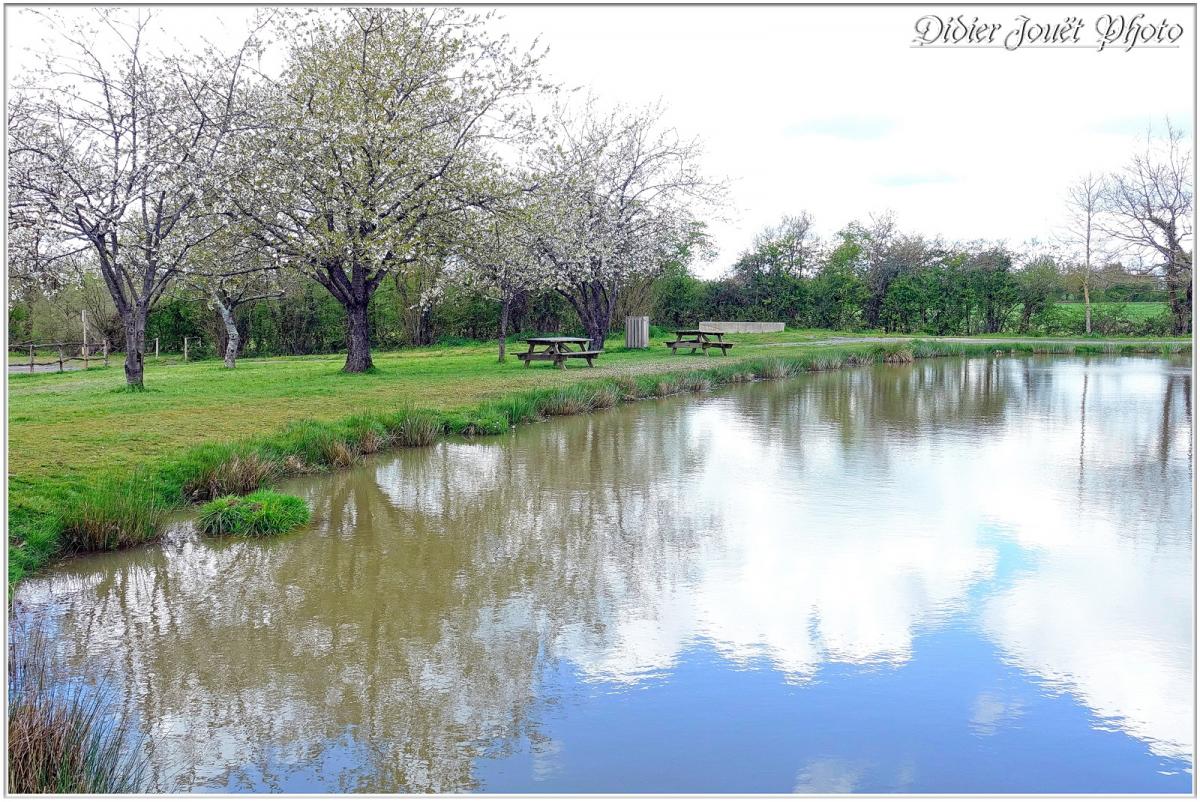 Balade / Dimanche 7 Avril 2019