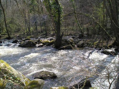 Les gorges de la Sédelle