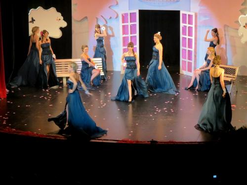 L'élection de Miss Côte d'Or au Théâtre Gaston Bernard : Les candidates....