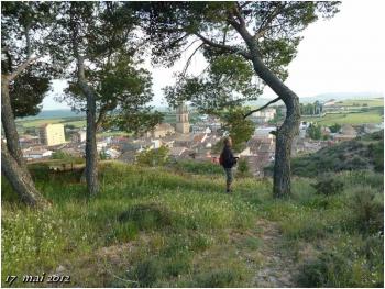 (J43) Viana / Los Arcos 17 mai 2012 (2)