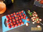 Tarte aux fraises & crème pralinée 