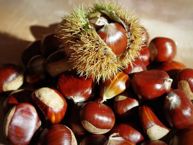 Fruits du mois d'Octobre