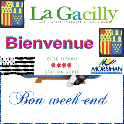 CANTON DE LA GACILLY