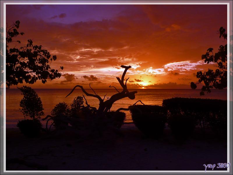 Coucher de soleil du 23/03/2009 vu côté lagon - Atoll de Fakarava - Tuamotu - Polynésie française