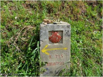 (J23) Melide / Arzua 27 avril 2012 