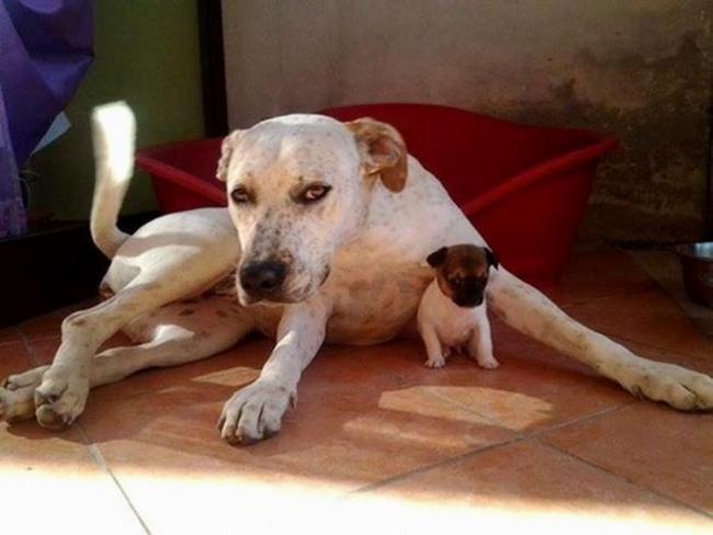 Moments de tendresse ... !!!