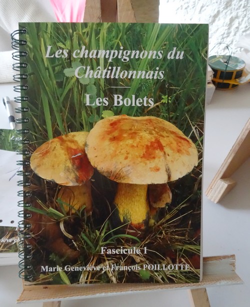 Une bien belle exposition mycologique a eu lieu à Châtillon sur Seine le week-end dernier....