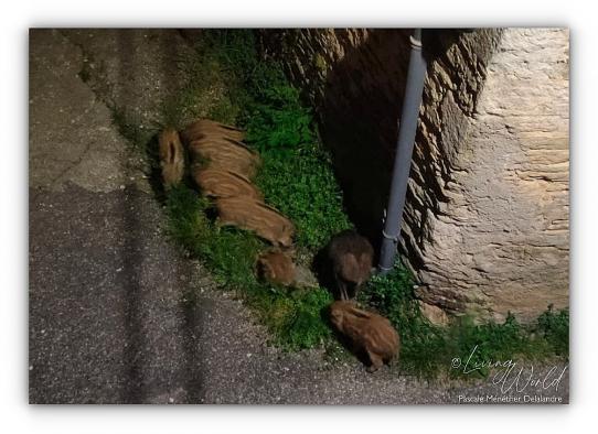 Une famille, 15 avril 2022 à 00h14