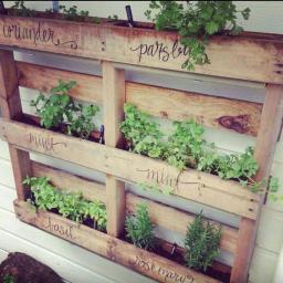 7 idées pour réaliser un potager vertical: 