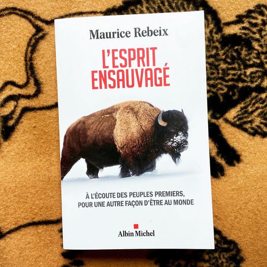 Peut être une image de plein air et texte qui dit ’Maurice Rebeix ENU À AL'ÉCOUTEDES DES PEUPLES PREMIERS, POUR UNE AUTRE FAÇON 'ÊTRE AU MONDE Albin Michel’