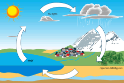 Le cycle de l'eau