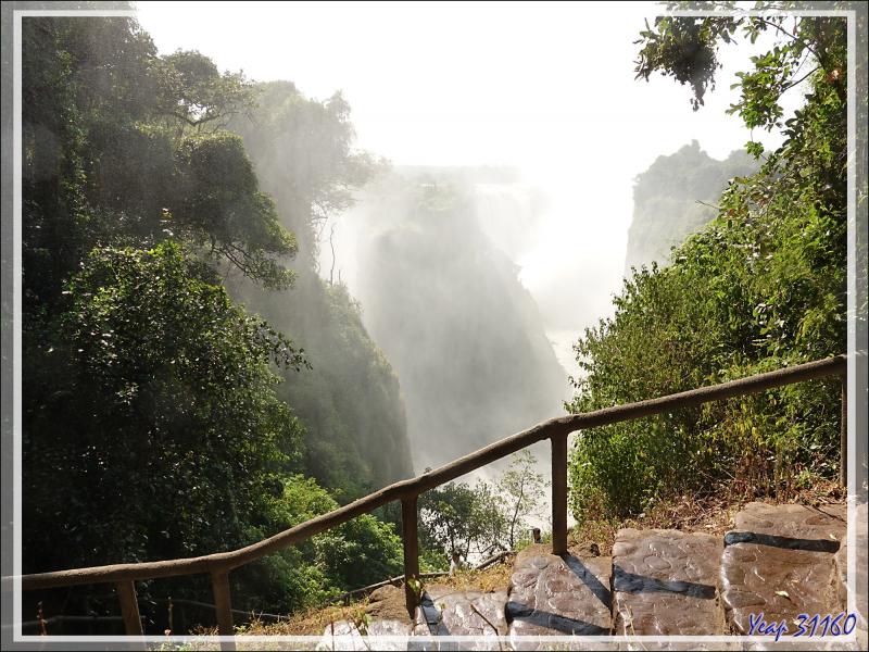 Devil's Falls (Les Chutes du Diable) - Chutes Victoria - Zimbabwedata:text/mce-internal,%3Cimg%20src%3D%22http%3A//ekladata.com/OamwydYcxuNi-8lBtaJKPxdC4PQ@800x353.jpg%22%20alt%3D%22Devil%27s%20Falls%