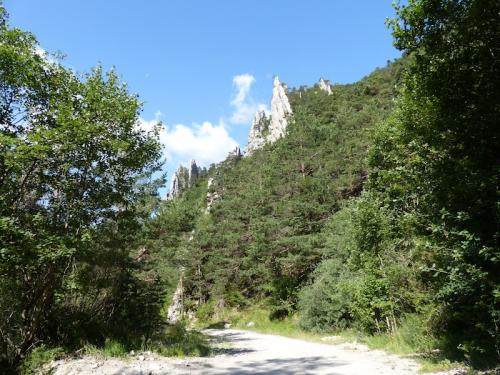Sucettes de Borne (Haut Diois)