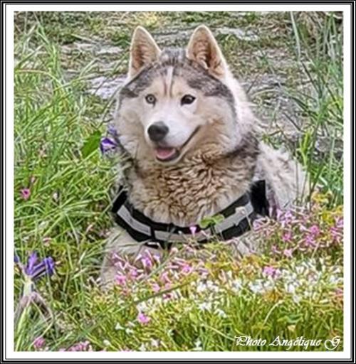 Jeska (8 ans)