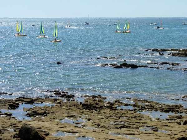 44 - Ecole de voile