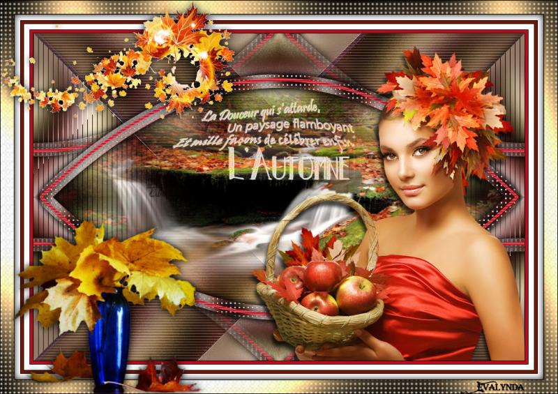 Douceur d'Automne