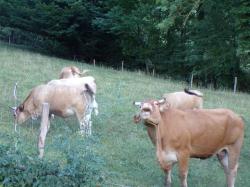 Lundi, en une, deux, trois, quatre ou plus en photos .... 