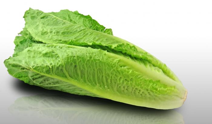 Légumes du mois de Juillet