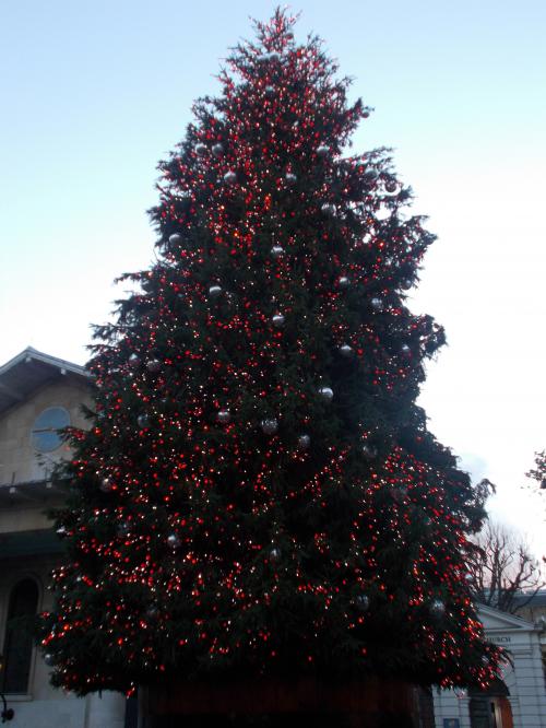  * Encore quelques beaux sapins