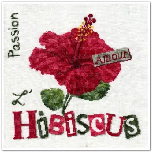 L'hibiscus de Lili Points - fin