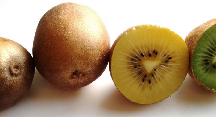 Fruits du mois de Novembre