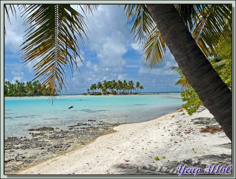 Lagon Bleu : petit aperçu - Atoll de Rangiroa - Archipel des Tuamotu - Polynésie française