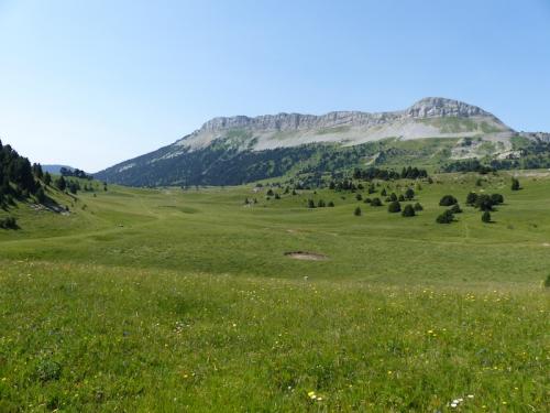 Vallon de Combeau (Haut Diois)