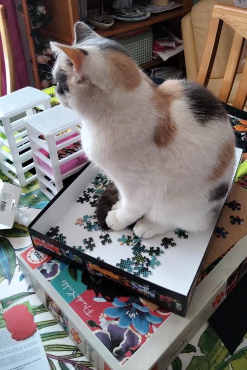 Les puzzles de Laurent.... et ceux de Guy