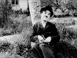 ⊱♥⊱╮ღ꧁  L'auteur du Blog ꧂ღ ⊱♥≺