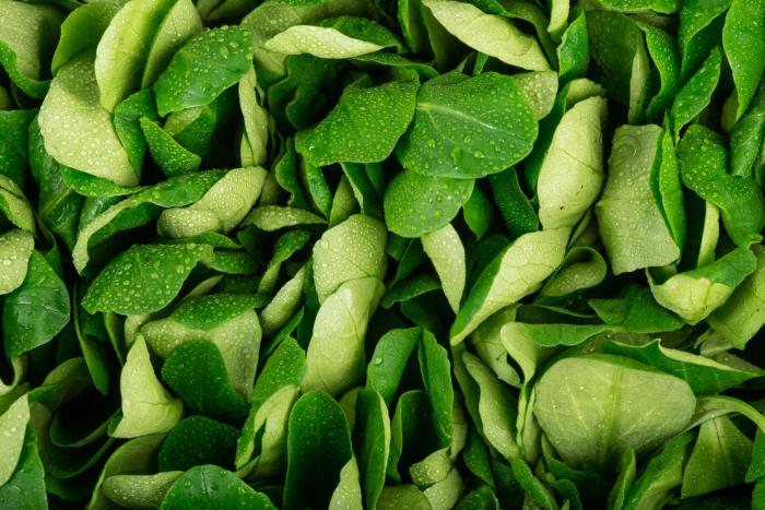 Légumes du mois d'Avril