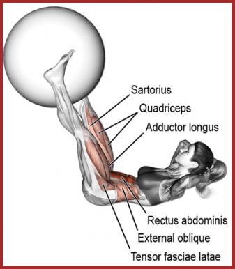 Que Des Muscles.