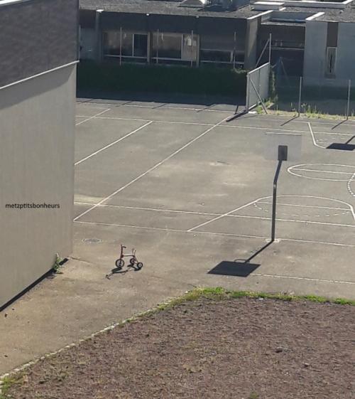 ...des "insolites" de juillet, ça vous dit?